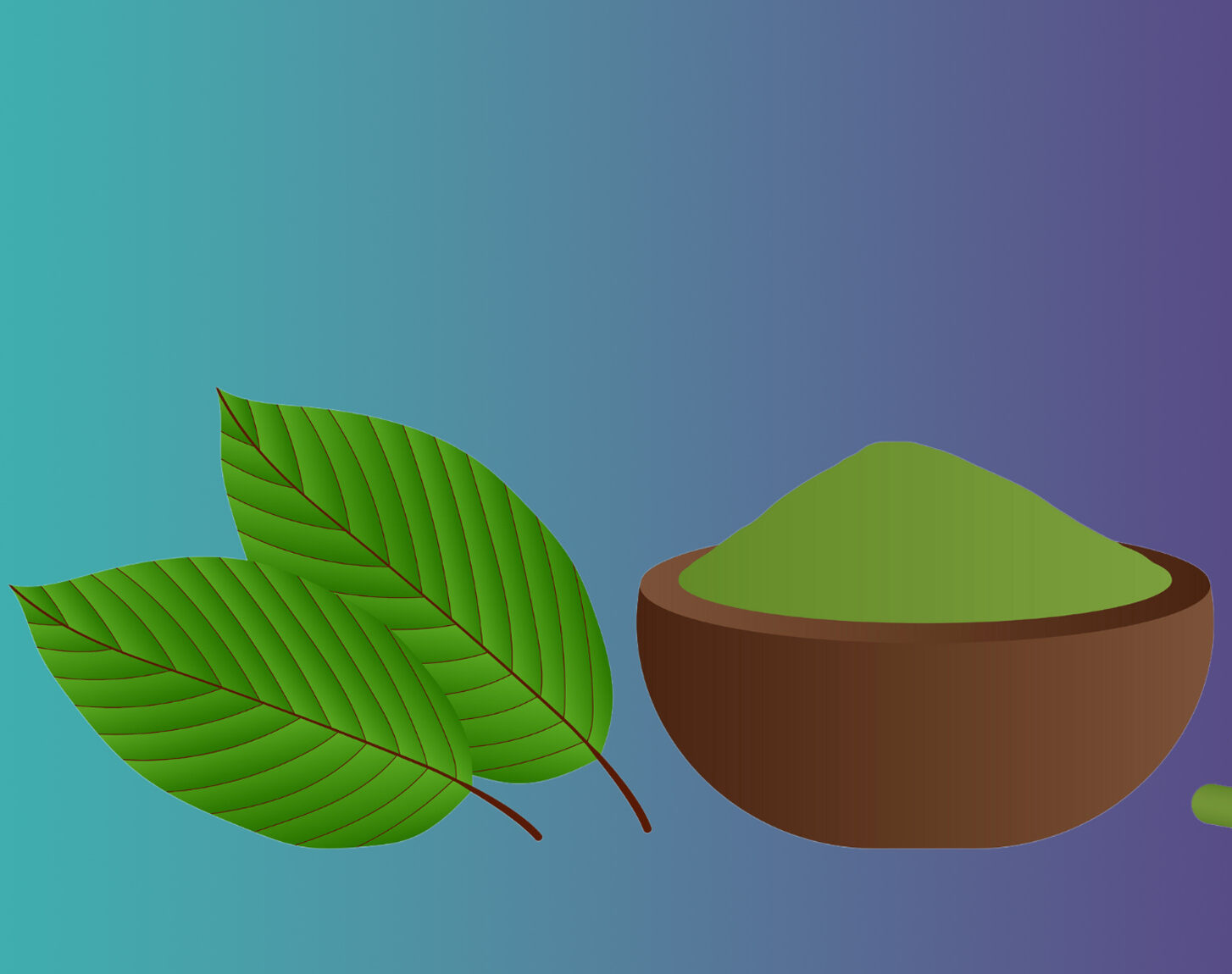 Popup CNX: Your Kratom Tea Shop Chiang Mai Destination